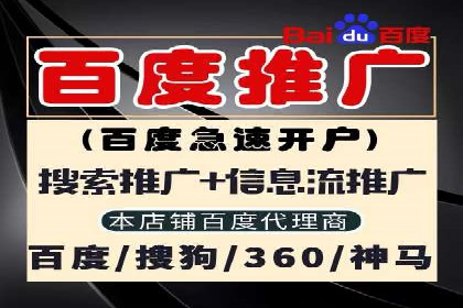 SEM托管成功案例：揭秘高效广告投放策略